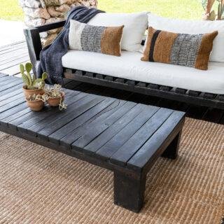 camelia arena marron 05