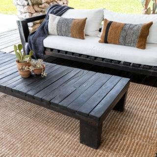 camelia arena marron 05
